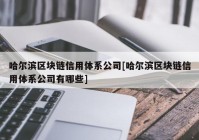 哈尔滨区块链信用体系公司[哈尔滨区块链信用体系公司有哪些]